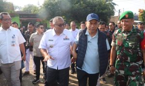 FB_IMG_1731475418829