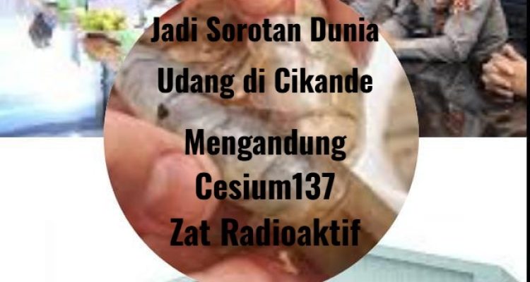 Terpapar zat radioaktif