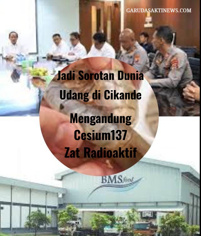 Terpapar zat radioaktif