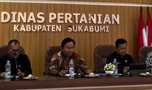 Screenshot 2025-10-19 094444