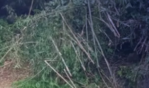 Screenshot 2025-10-21 202440