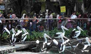 siaranpers_pemprov_dki-20251011102948_ii03uz_136