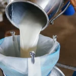 Ilustrasi botol berisi susu segar mentah (raw milk) yang belum melalui proses pemanasan pasteurisasi.