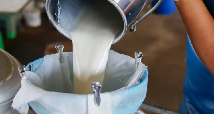 Ilustrasi botol berisi susu segar mentah (raw milk) yang belum melalui proses pemanasan pasteurisasi.