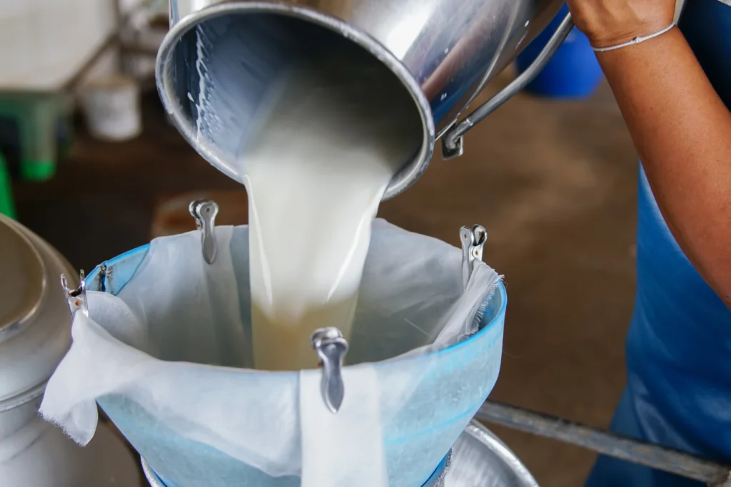 Ilustrasi botol berisi susu segar mentah (raw milk) yang belum melalui proses pemanasan pasteurisasi.